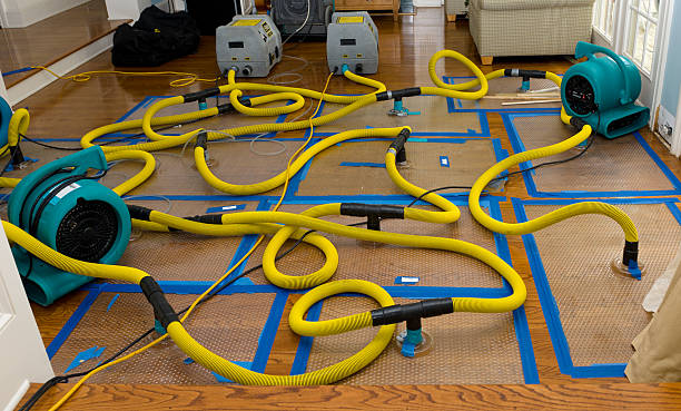 Professional Structural Drying And Dehumidification technician working in Mahwah, NJ